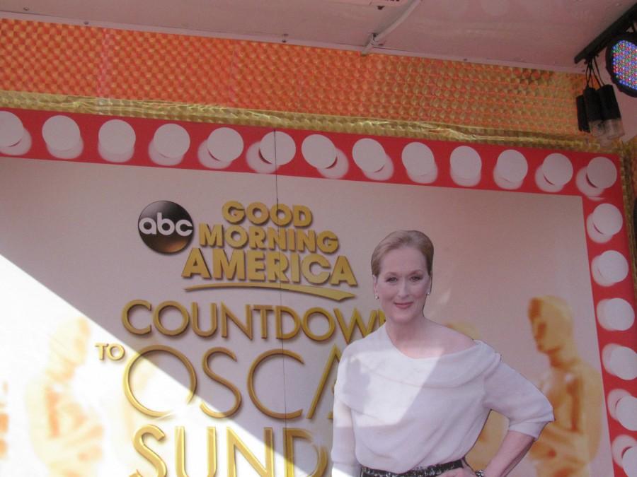 Meryl Streep cardboard cut out.