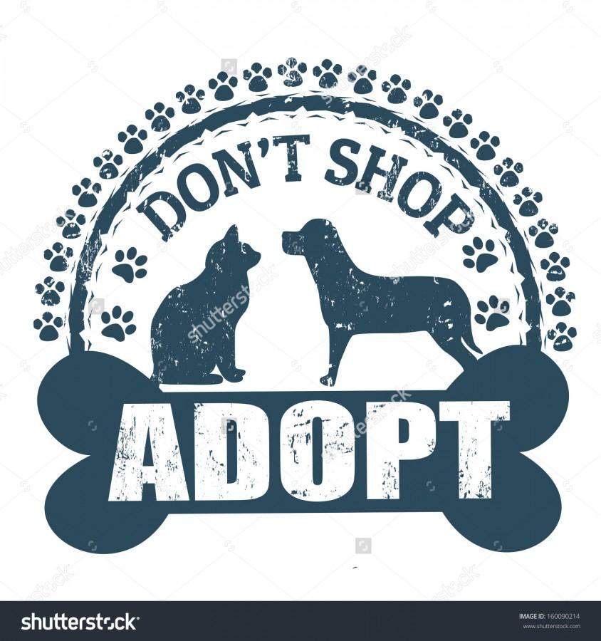 Dont+shop%2C+adopt%21
