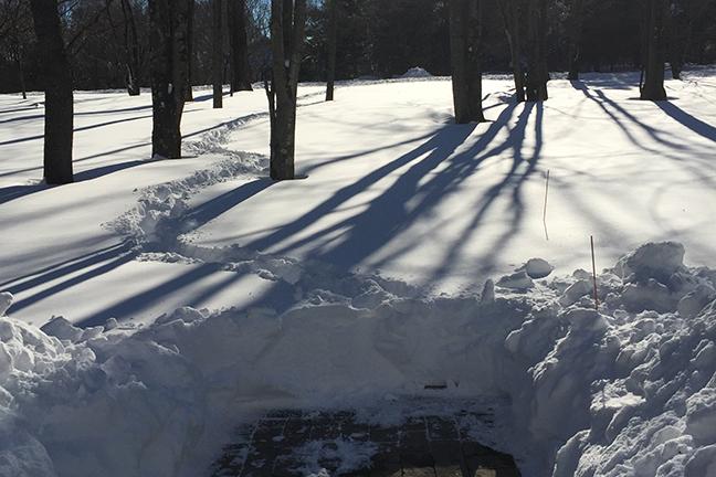 Snow in a Far Hills Yard