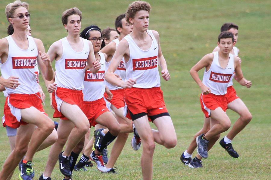 Cross country wins at Skyland Conference