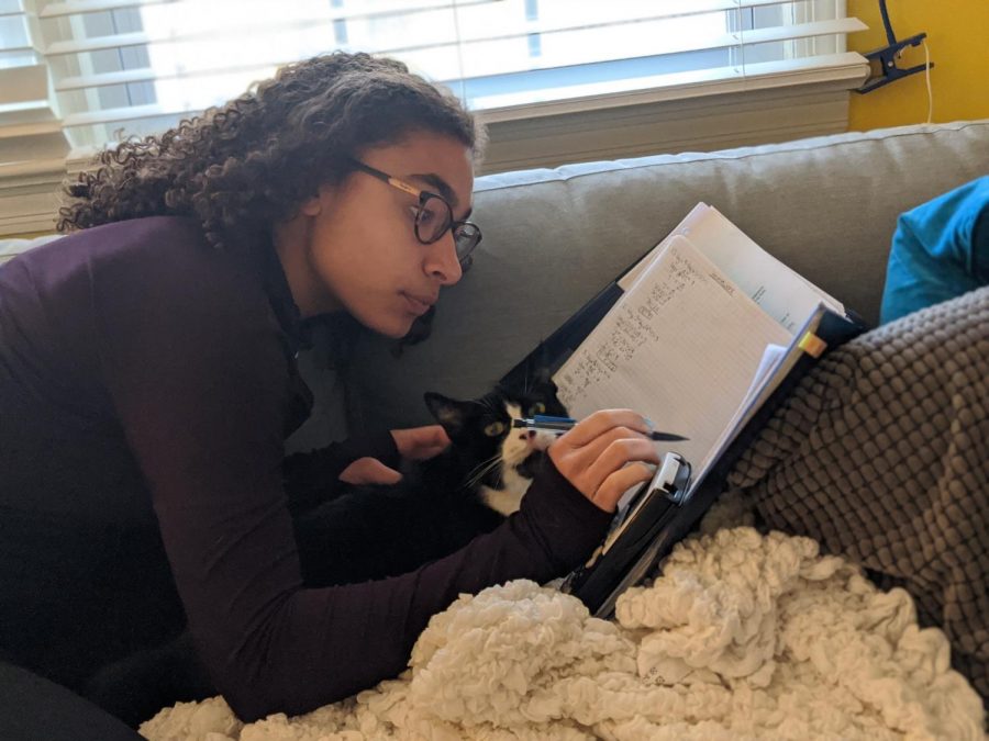 Sierra Emery 21 completes math homework with the help from her pet cat.