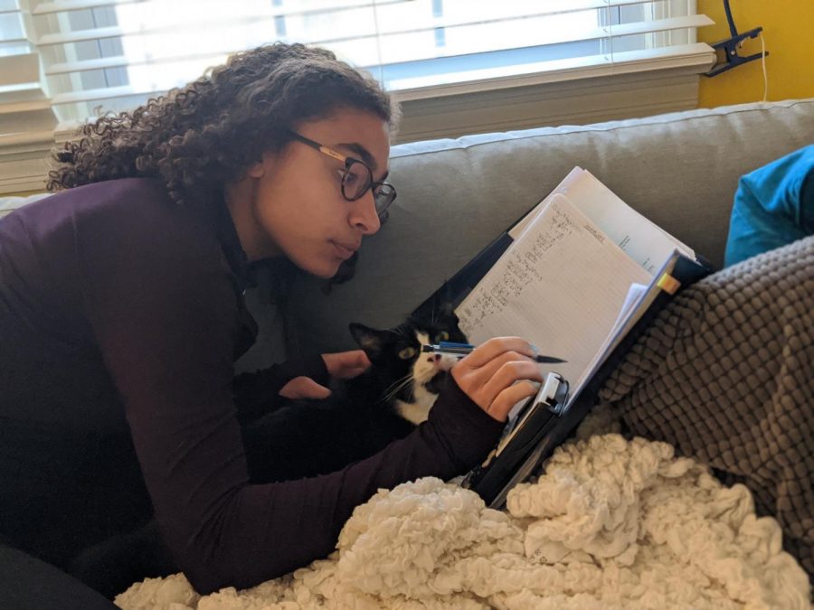 Sierra Emery '21 completes math homework with the help from her pet cat.