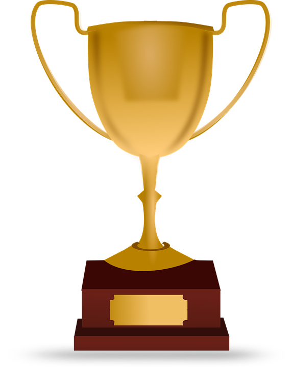 Why We Should Not Hand Out Participation Trophies