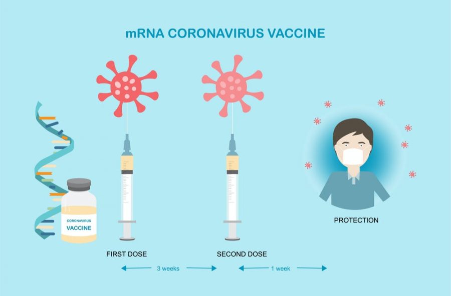 Next-Gen+Vaccine+Technology%3A+mRNA