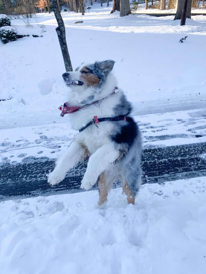 December 17th; The First Snowfall