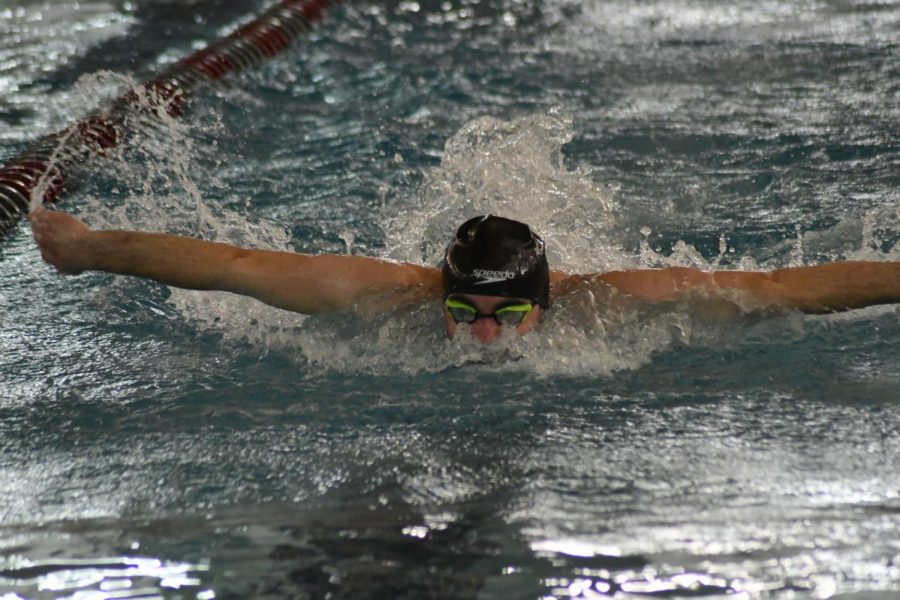 Trevor Lukackso swims the butterfly