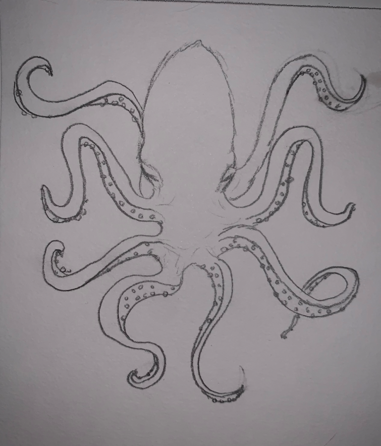 Octopus illustration from BHS junior, Geo, for octopus farm debate