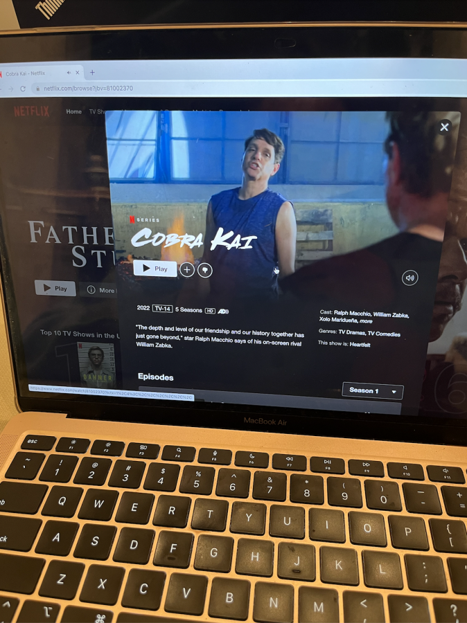 Cobra Kai, the TV show revival of Karate Kid, on Netflix.