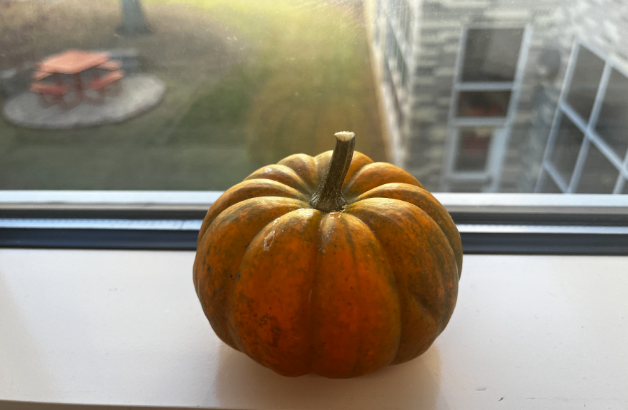 Typical Thanksgiving and fall decorations that are a part of the “new” holiday 