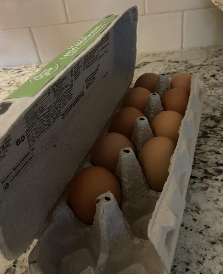 Organic brown carton of eggs from Wegmans, sourced from local farms 