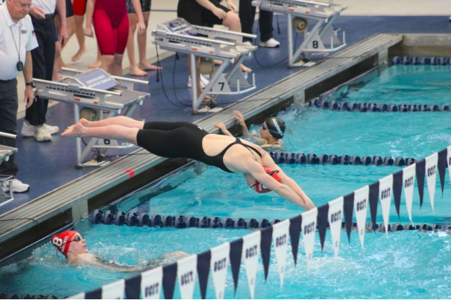 Junior+Meghan+Robinson+dives+into+the+water%2C+beginning+her+race+in+the+100+breaststroke+