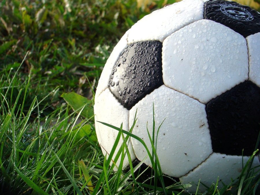 Soccer ball: an original public domain image from Wikimedia Commons