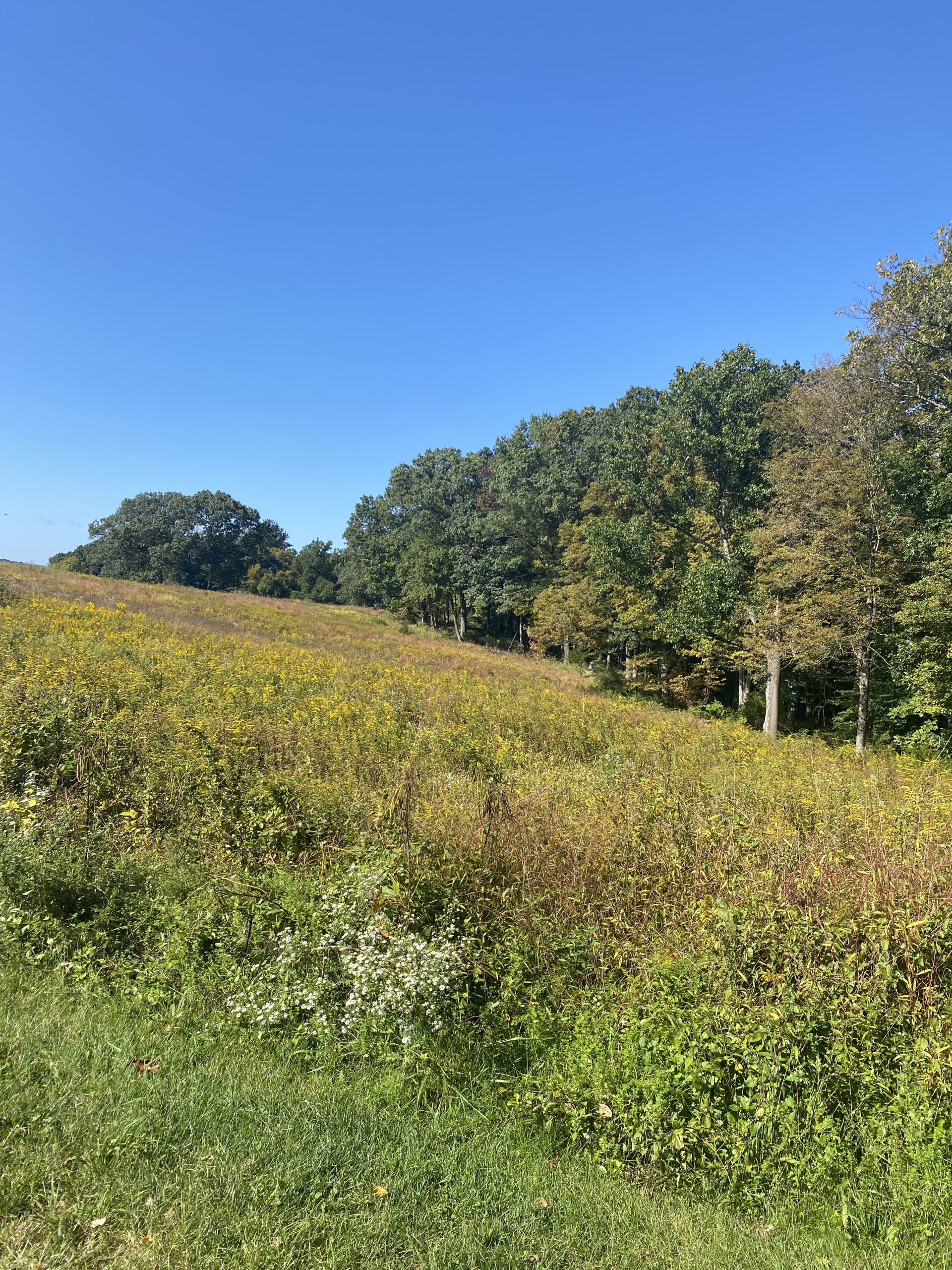 The outdoors, like Natirar Park ,can be a great third place