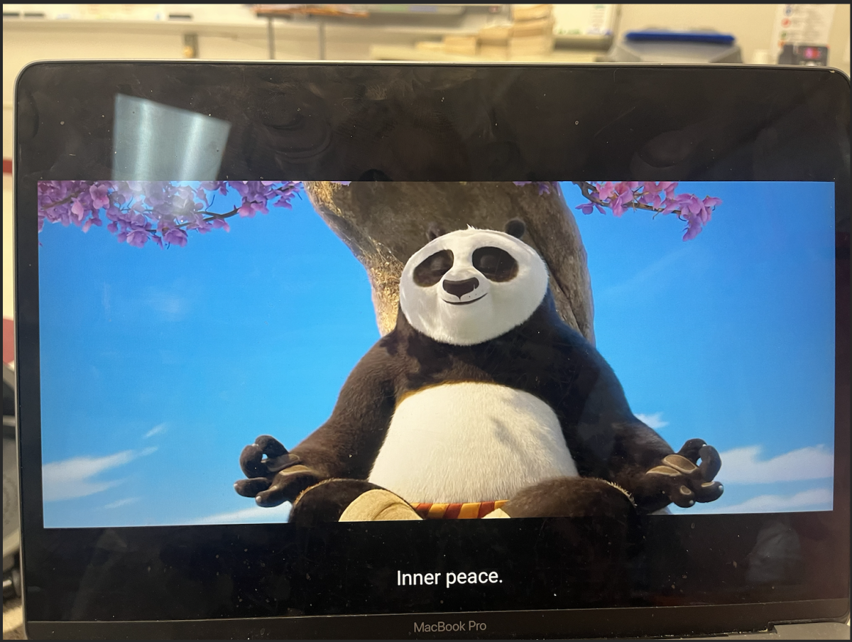 A student watching Kung Fu Panda 4 on their computer 